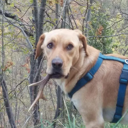 Nocleg ze śniadaniem La Corte Di Nonna Quercia