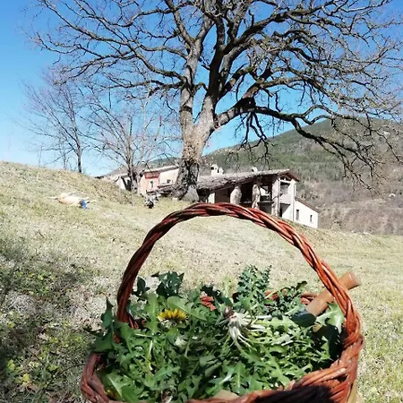 La Corte Di Nonna Quercia Bed & Breakfast 3*