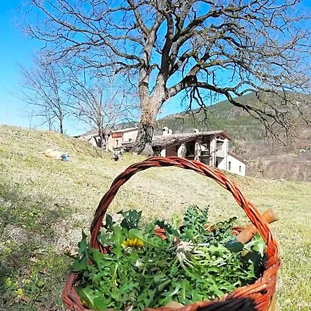 Panzió La Corte Di Nonna Quercia